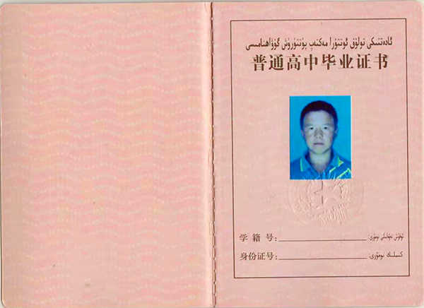 新疆高中毕业证样本_图片_模板_学籍号