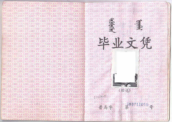 96年高中毕业证原版(1996年的高中毕业证图片)