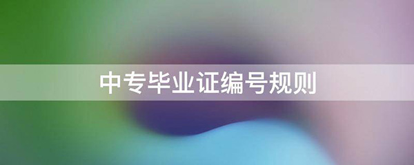 2003年中专毕业证编号是几位数
