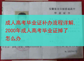 成人高考毕业证补办流程详解,2000年成人高考毕业证掉了怎么办