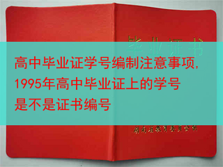 高中毕业证学号编制注意事项,1995年高中毕业证上的学号是不是证书编号