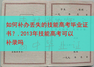 如何补办丢失的技能高考毕业证书？,2013年技能高考可以补录吗