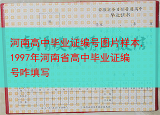 河南高中毕业证编号图片样本,1997年河南省高中毕业证编号咋填写