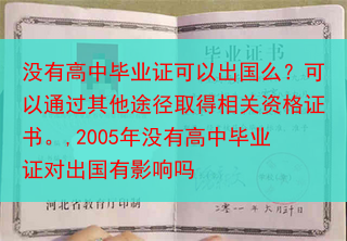 没有高中毕业证可以出国么？可以通过其他途径取得相关资格证书。,2005年没有高中毕业证对出国有影响吗