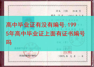 高中毕业证有没有编号,1995年高中毕业证上面有证书编号吗