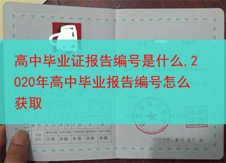高中毕业证报告编号是什么,2020年高中毕业报告编号怎么获取