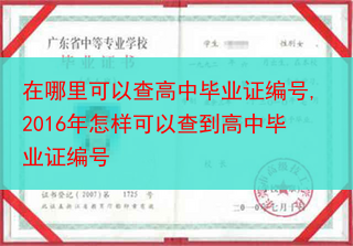 在哪里可以查高中毕业证编号,2016年怎样可以查到高中毕业证编号